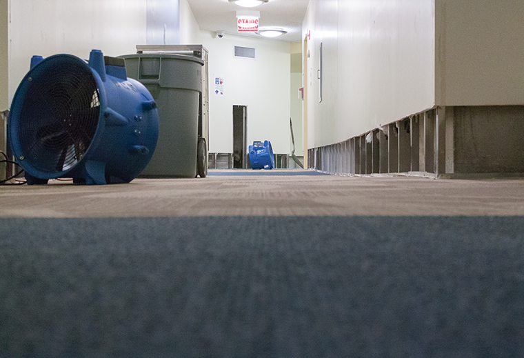 Carpets and wall trims are being replaced after the 8th floor of the University Center flooded on Jan. 8. The damage has displaced 16 students.