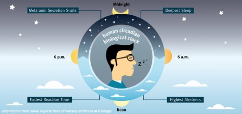 Human circadian biological clock
