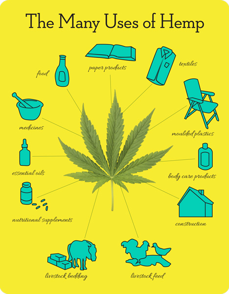 Graphic information from: http://bigthink.com/experts-corner/the-truth-about-hemp-an-interview-with-chris-conrad