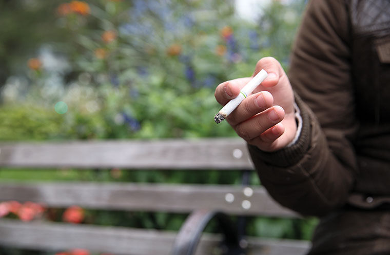 The new ordinance that bans smoking in parks, harbors, beaches and playgrounds immediately goes into effect and imposes a $500 fine on all people who violate the ban. 