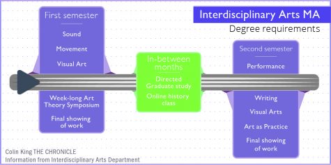 Interdisciplinary Arts MA