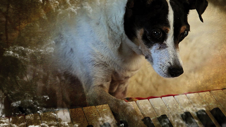 Lolabelle, Anderson’s dog and protagonist in the film, is seen playing the piano on the movie poster. 