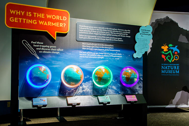 The Peggy Notebaert Nature Museum at 2430 N. Cannon Drive has unveiled its newest exhibit which simplifies scientific evidence of global warming for all ages.