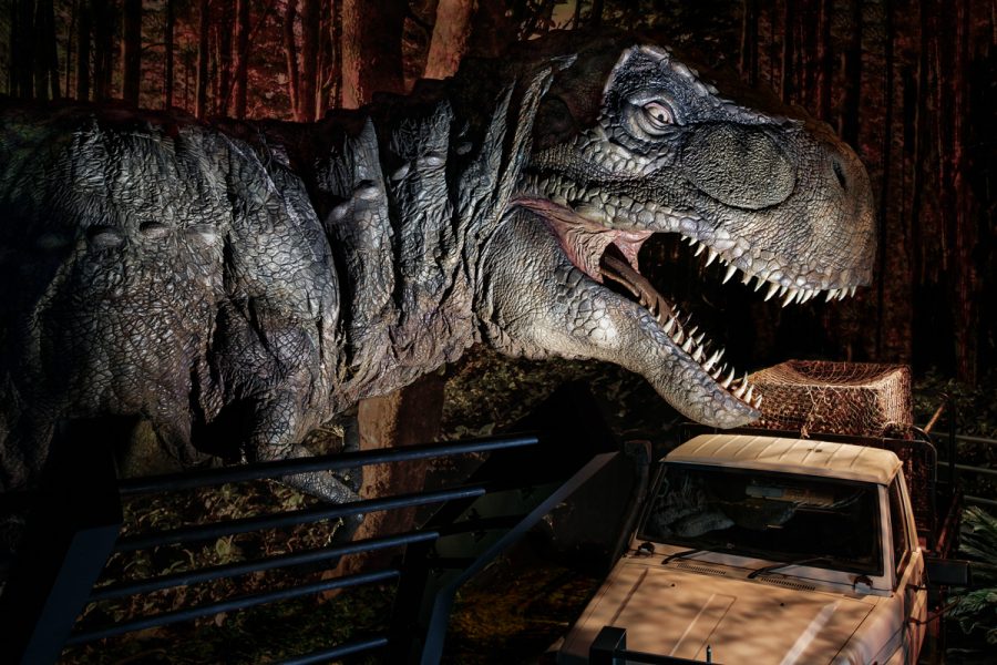 Field Museum unveils dino-mite new exhibit
