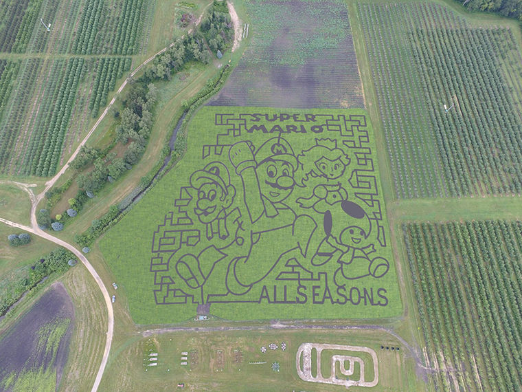 All Seasons Orchard made a nostalgic “Super Mario” maze for this fall season. Some of the orchard’s previous designs include “Minions” and “Scooby-Doo.”