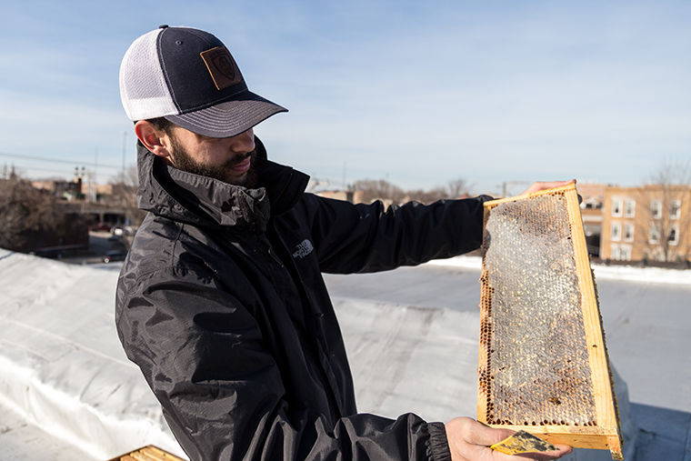 Raymond Tominello, owner of Rooftop Local Honey, houses bees on rooftops and plans to collaborate with local schools to teach children about bees. 