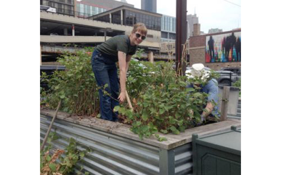 Early student center construction displaces Papermakers Garden