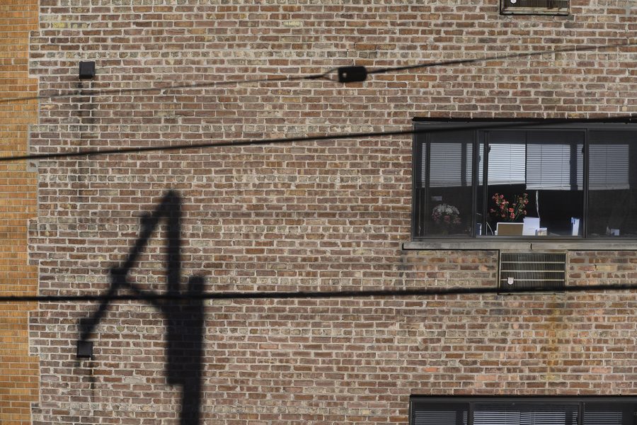 Among stark shadows, flowers are seen in the window of an adjacent apartment building.