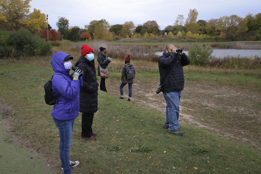 Birders use binoculars to observe birds in the middle of the Douglas Park golf course.