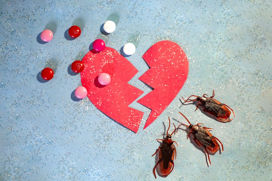 The pettiest gifts for your ex this Valentine's Day