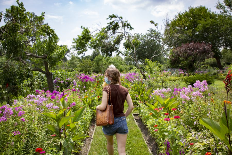 Rainbow Beach Victory Garden offered free tours for Humanities Festival attendees July 24.