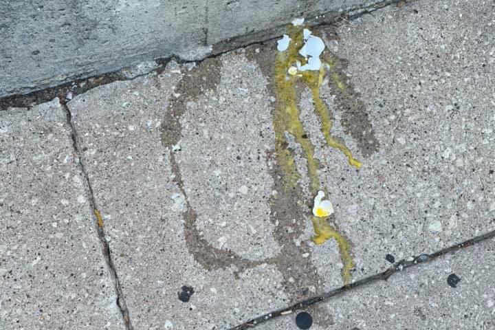 A freshly cracked egg that was thrown at Autumn Schoolman, a member of the Chicago Egg Hunters Facebook group, rests on a Clark Street sidewalk. Courtesy of Autumn Schoolman.