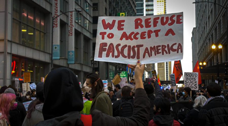 A protester holds a handmade sign rejecting fascism in America.