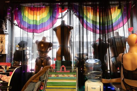 Sex toy inclusivity: Chicago sex toy stores provide resources for