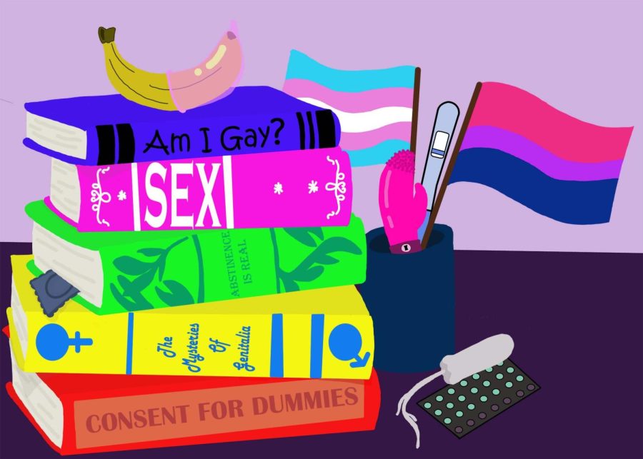 Let’s talk about sex, baby: Columbia students weigh in on what their sex education lacked