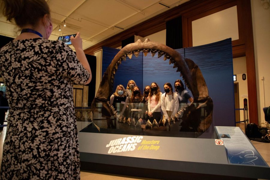 Museum visitors stand and pose under the mouth of the megalodon, one of the largest shark species, which lived more than 23 million years ago.