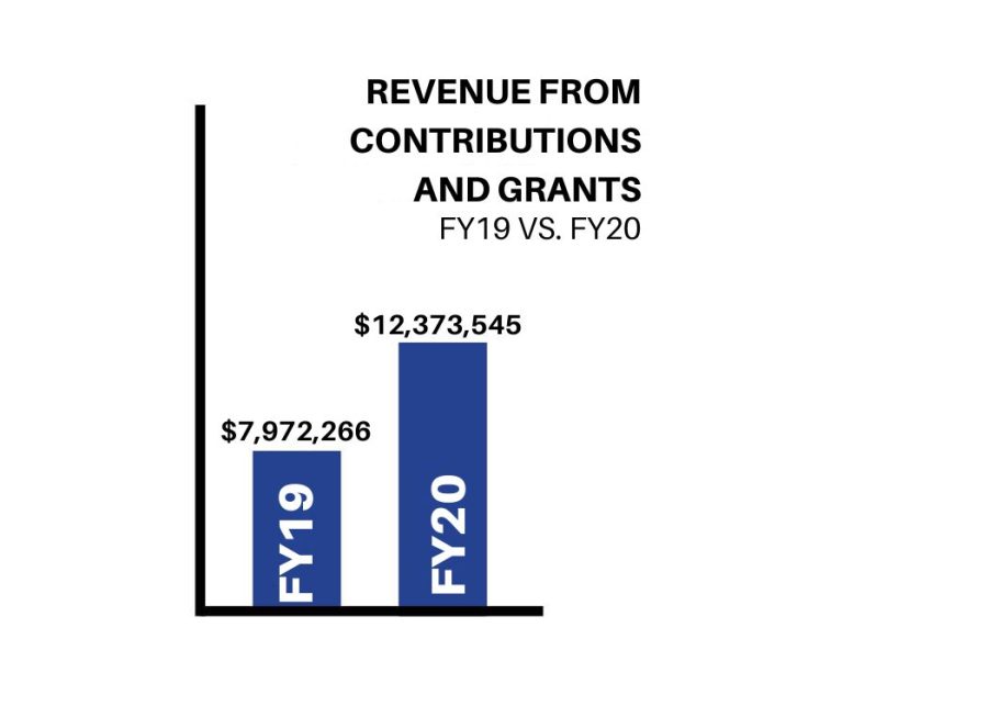 REVENUE FROM CONTRIBUTIONS AND GRANTS