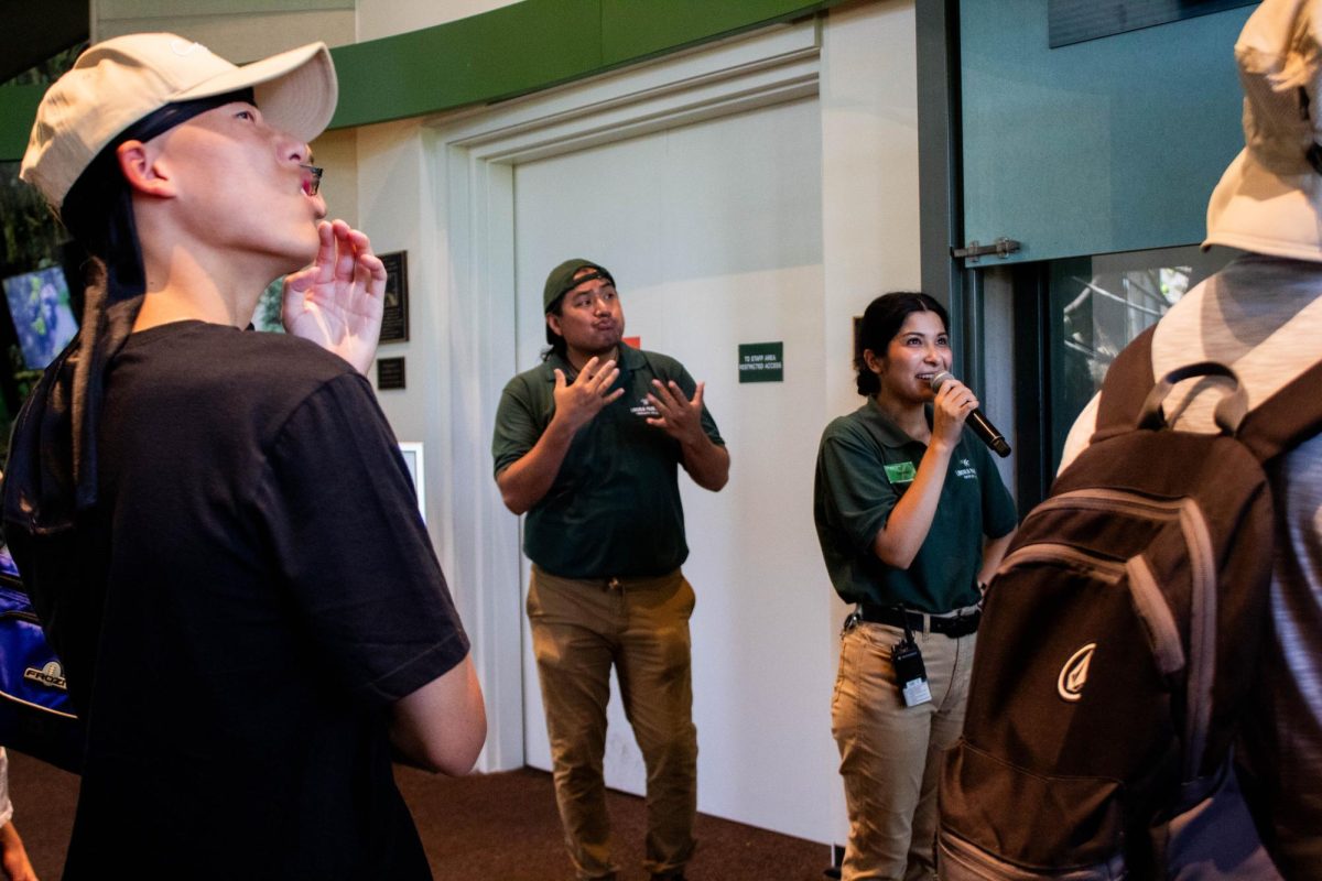 Octavio Martinez interprets an ape training led by Carolyn Morales Ramirez in American Sign Language at the Regenstein Center for African Apes on Friday, July 28, 2023. 
