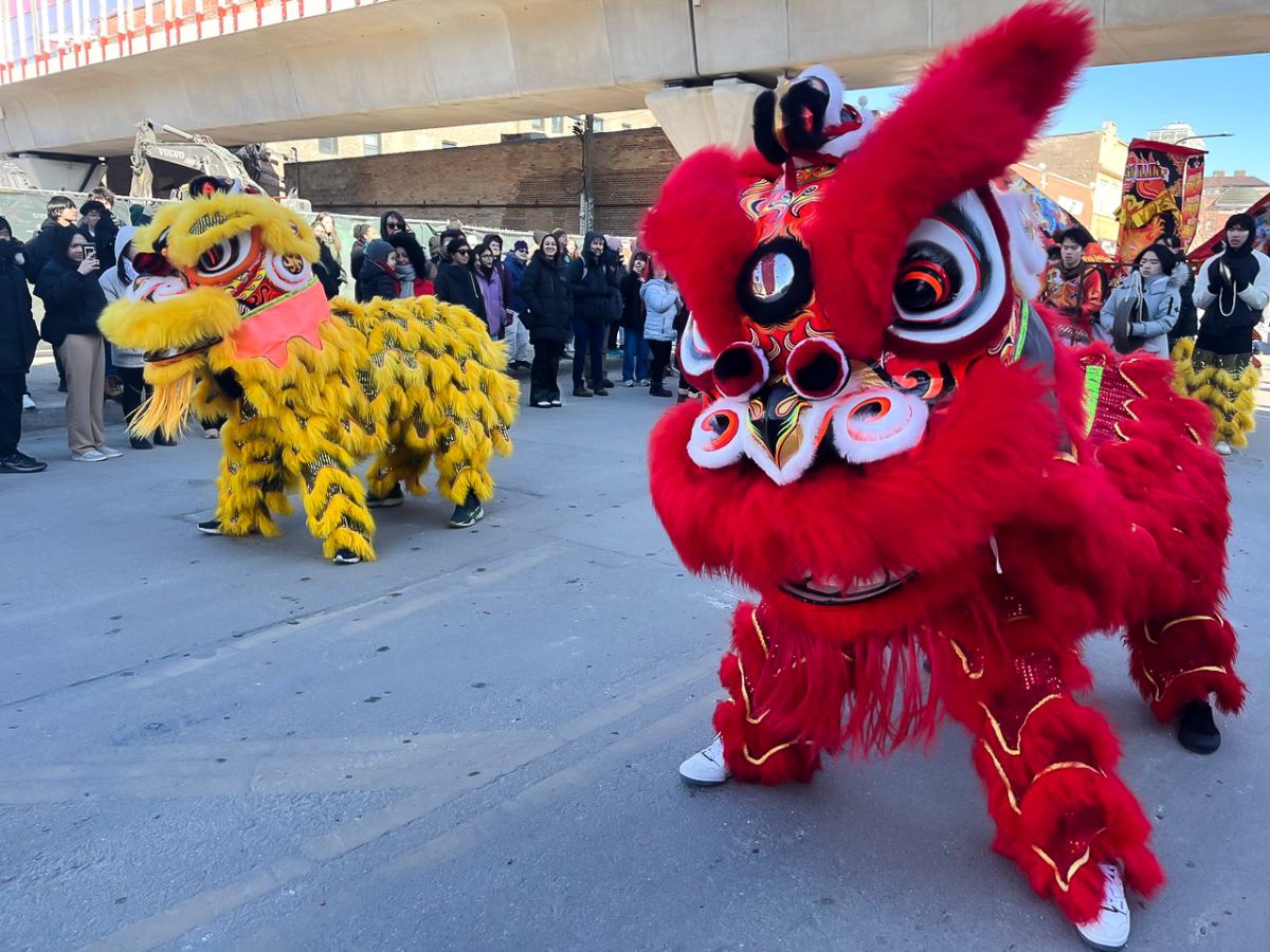Parade dancers dressed in costumes to perform the traditional lion dance on Argyle Street during the Lunar New Year parade on Saturday, Feb. 17, 2024. Even though the holiday is now over, commemorative products inspired by the celebration can still be found on store shelves.