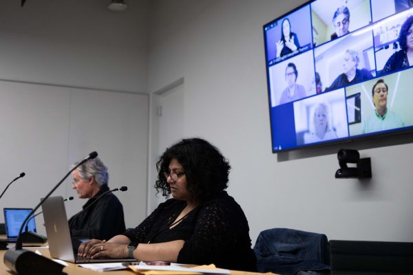 Madhurima Chakraborty takes notes in the Faculty Senate meeting, on Friday, April 12, 2024. The senate met to discuss their response to the presidents advisory report. 