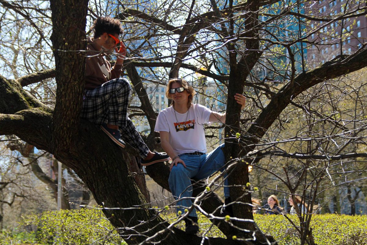 First-year students Marshall Kerr, a fashion studies major, and Luke Eaton, an acting major, wear solar eclipse glasses in a tree in Grant Park on April 8, 2024.