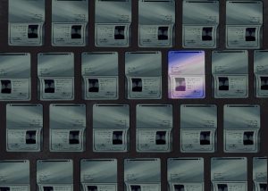 ‘It’s a spit in my face.’: Transgender students respond to passport restrictions