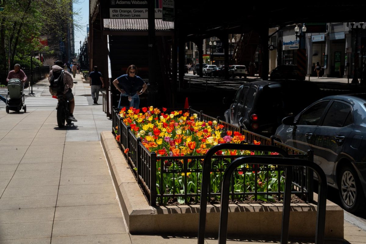 Tulips line Wabash Avenue on Friday, April 17, 2026. 