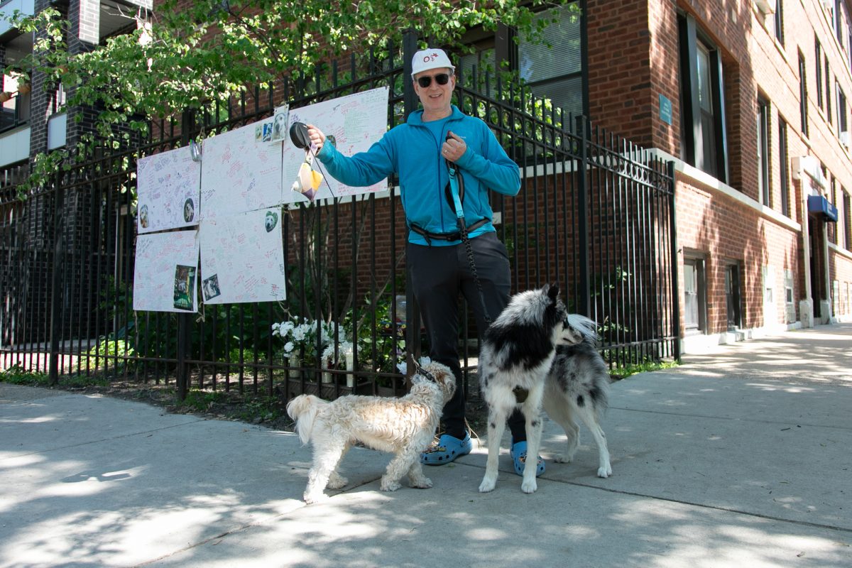Malcolm MacIver, resident of Andersonville, takes out dogs Jupiter and Yogi for a walk. Andersonville is a neighborhood within the Uptown Community Area in Chicago. In addition to being a resident of Andersonville for 12 years, he is also a professor at Northwestern where he teaches biomedical engineering and mechanical engineering. This photo is part of the Columbia Chronicle’s "77 Community Areas" project documenting Chicago ahead of America’s 250th birthday.