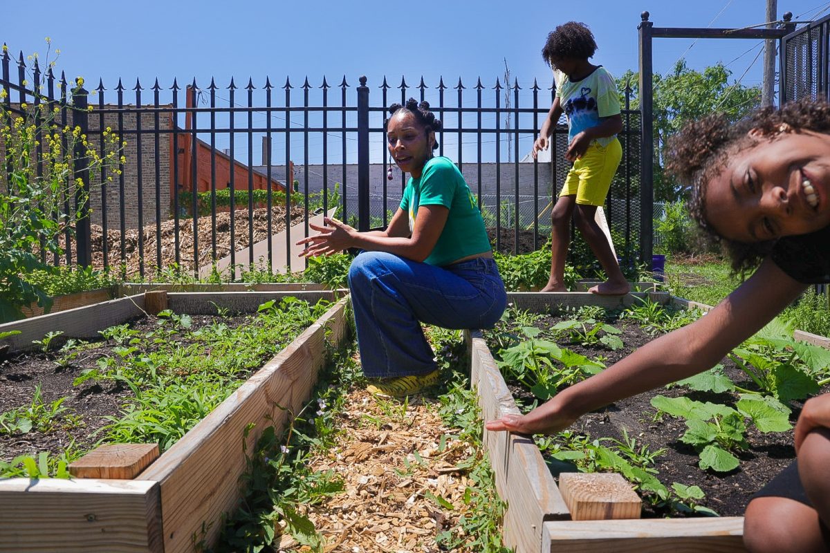 Nekaiya Herring, also known as "Mama Kiya," teaches Nala and Noah Newnan about gardening at the Cultural Compassion Garden in Washington Heights on Monday, July 6, 2026. The garden aims to reconnect children and residents to their roots both culturally and agriculturally.