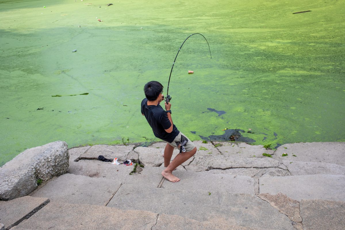 A young boy accidentally reels in a snapping turtle while fishing at the Stearns Quarry Fishing Pond in Palmisano Park in Bridgeport on Tuesday, Aug. 18, 2026. This photo is part of the Columbia Chronicle’s “77 Community Areas” project, documenting Chicago in celebration of America’s 250th birthday.