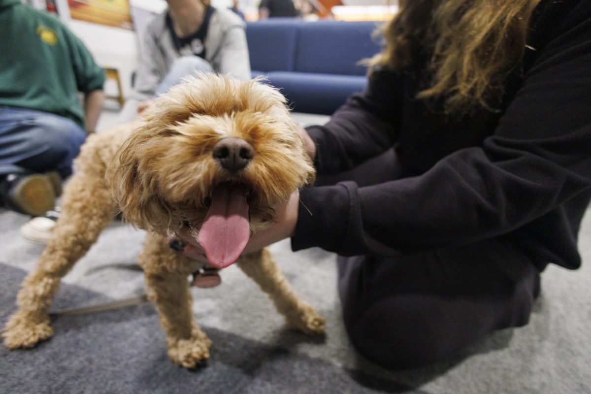 1COVER_APPROVED_20261001_campus__TherapyDogs_ZC__9407